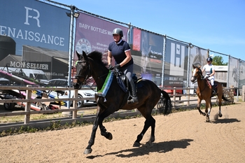 Caroline Webley and Endyana EH Z Shine in the Bank Holiday Sunshine at Weston Lawns 